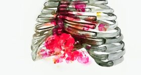 غلاف رواية نبض يتميز بتصميم يعكس الصراع بين الحب والدمار، حيث تظهر أضلاع بشرية مع ورود حمراء، تجسد الحب الذي ينبض رغم الألم.